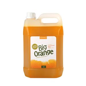 Big Orange bez dužniny 5 l